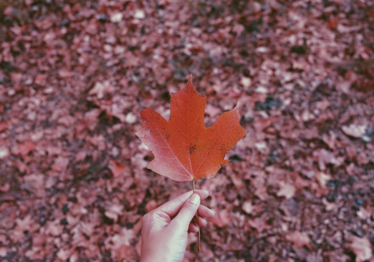 Processed with VSCO with p5 preset