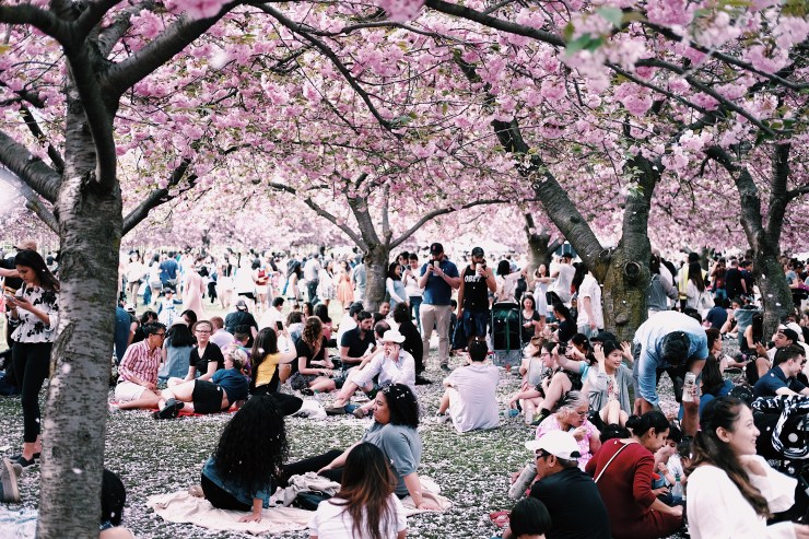 Processed with VSCO with c1 preset