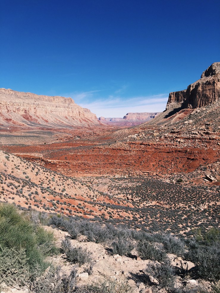 Processed with VSCO with c1 preset