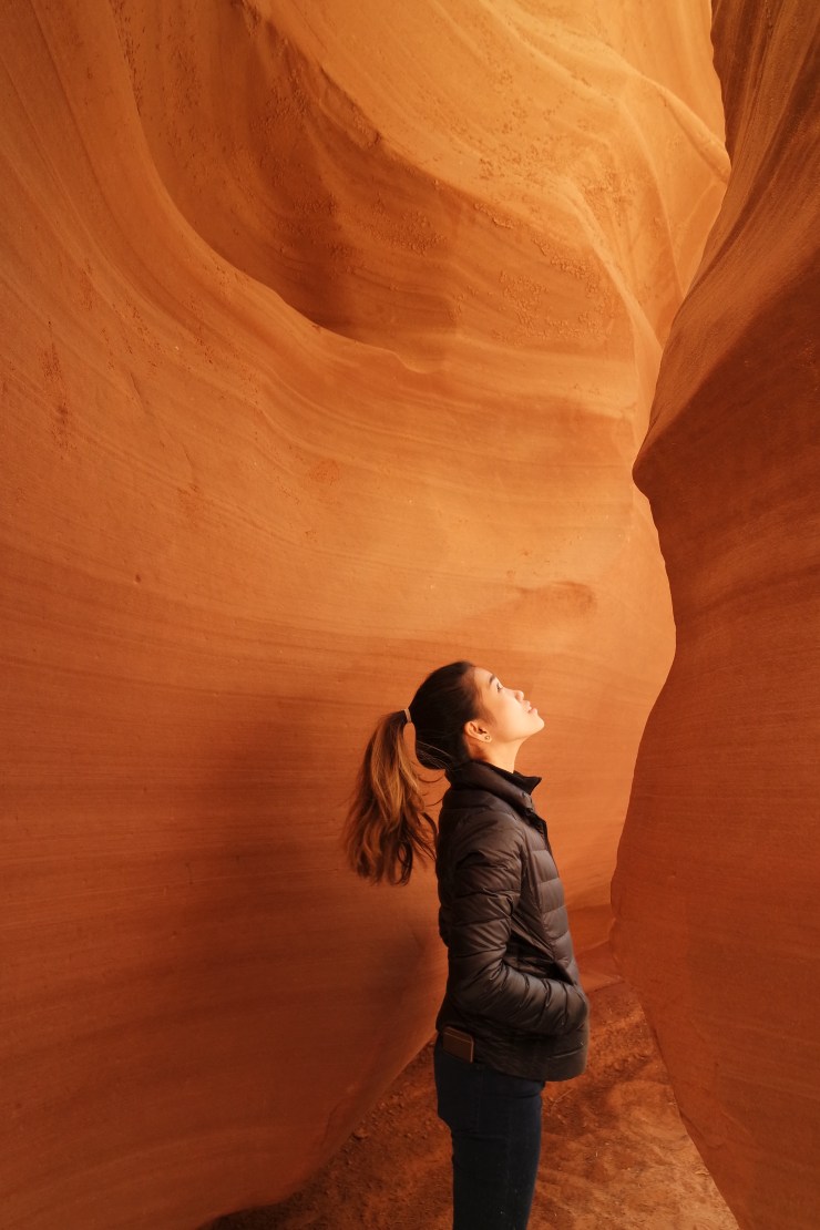 SAMSUNG CAMERA PICTURES